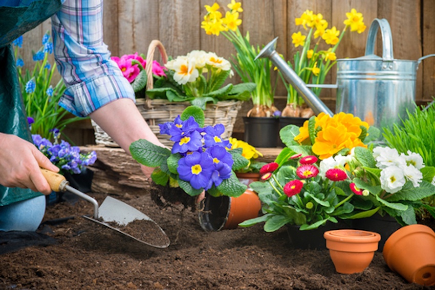 How To Spruce Up Your Garden In Time For Spring In 3 Ways