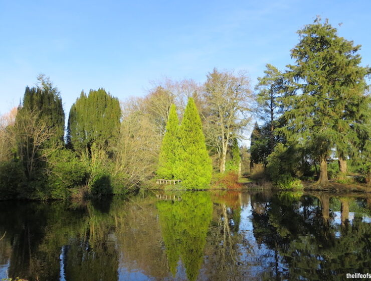 Altamont Gardens, Tullow, Carlow in Photo's