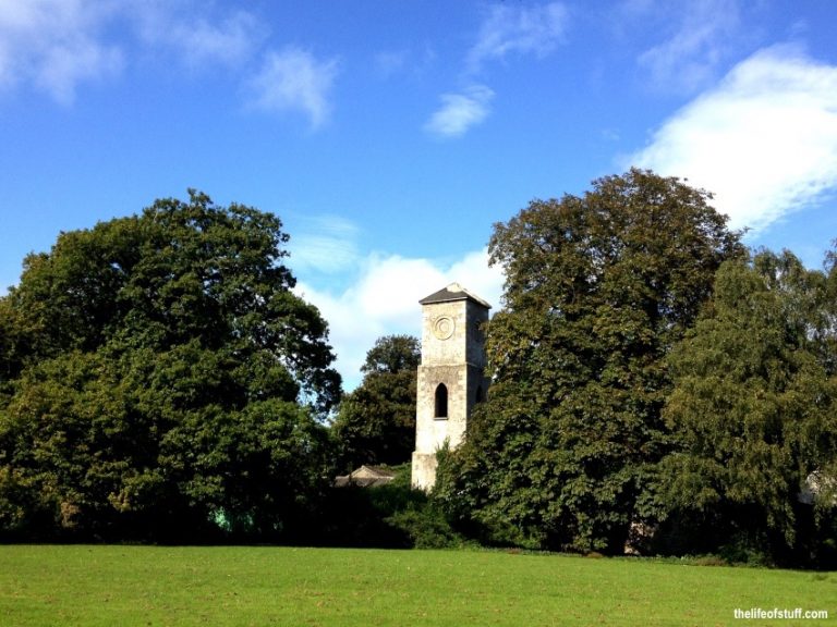 Marlay Park Most Dogs No.1 playground in Dublin