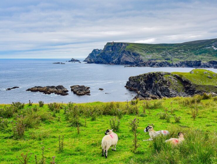 The Life of Stuff - Travel Tip – 3 of the Best Souvenirs from Ireland