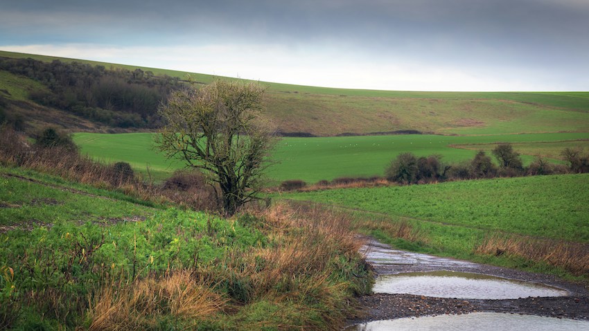 Scenic Trails for Walking Holidays in the UK - South Downs Way