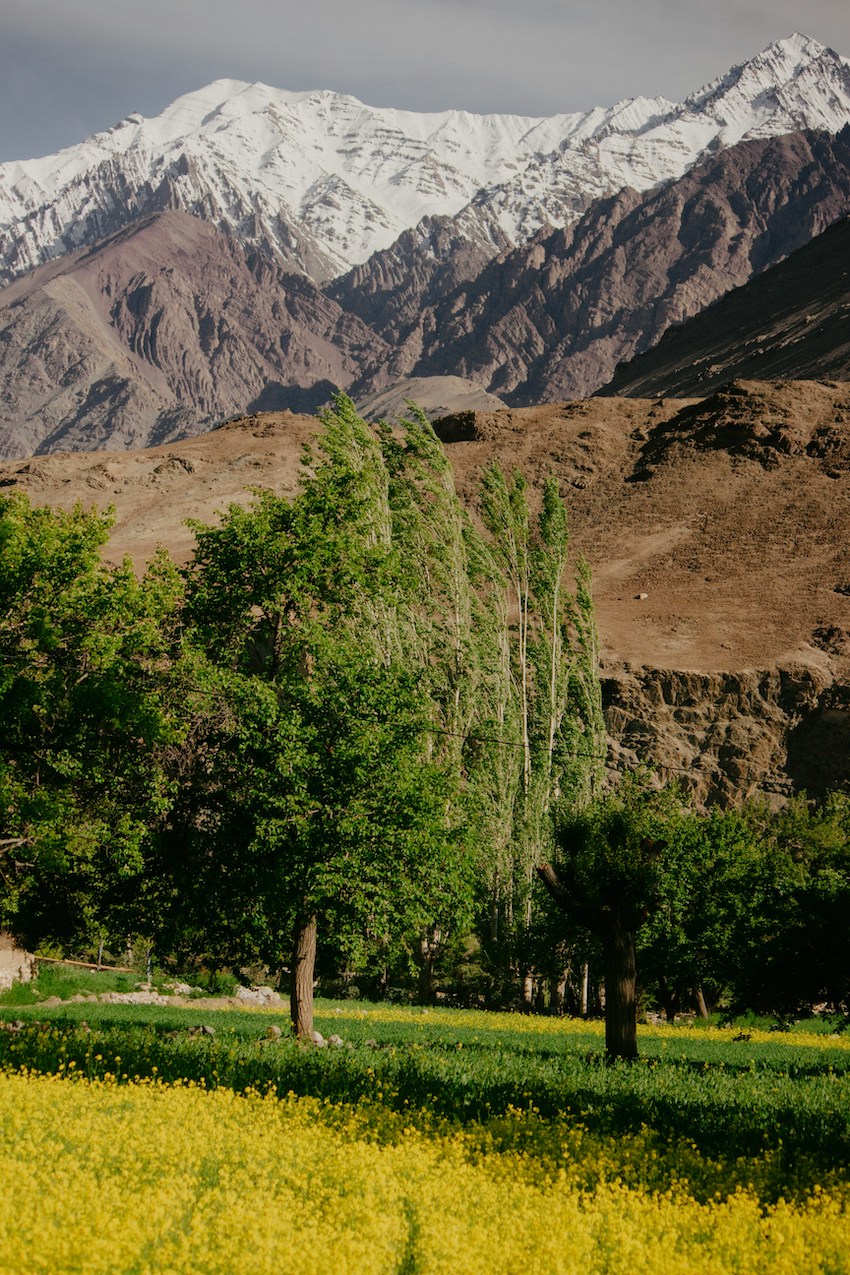 Customs From Around the World - Ladakh India