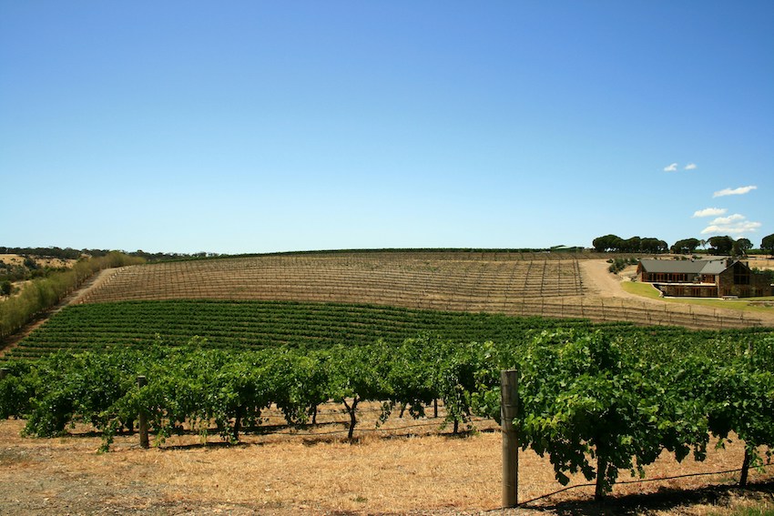 The Best Wine Regions in Australia - Barossa Valley Australia