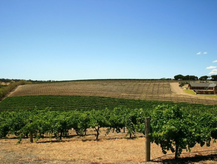The Best Wine Regions in Australia - The Life of Stuff.com