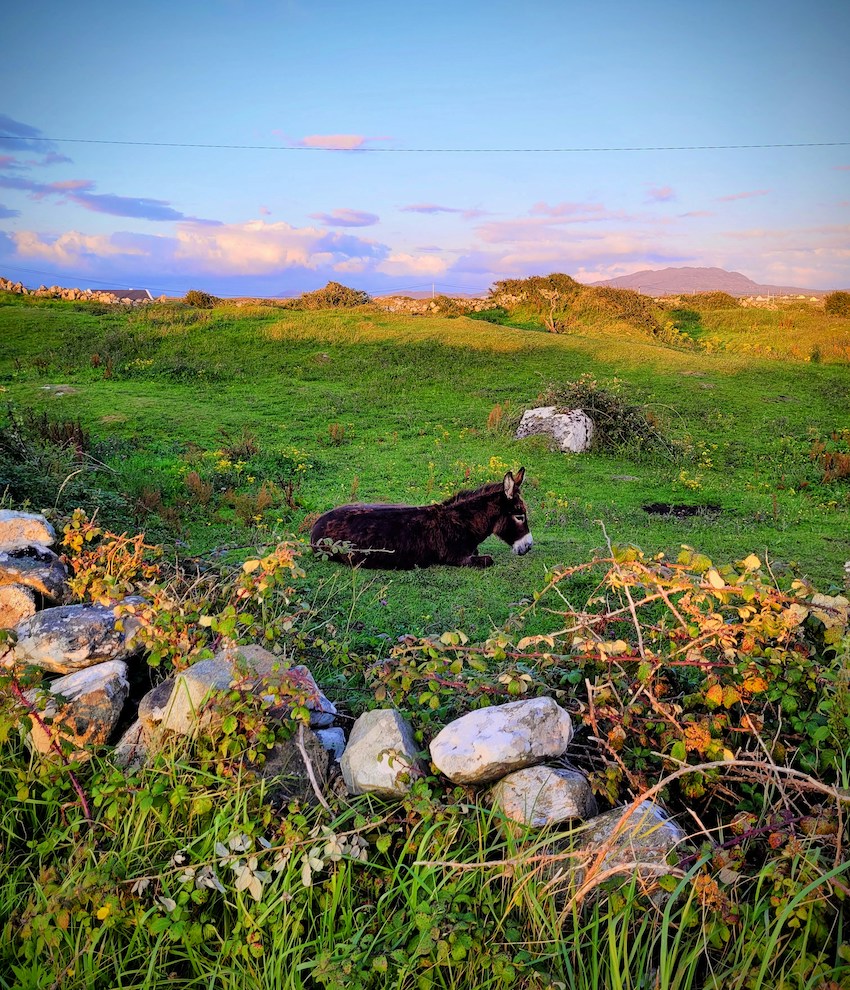 Discover Connemara - Guide to Holiday Homes and Top Attractions - Ballyconneely, Connemara