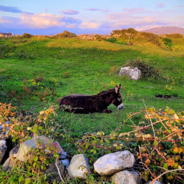 Discover Connemara - Guide to Holiday Homes and Top Attractions - The Life of Stuff