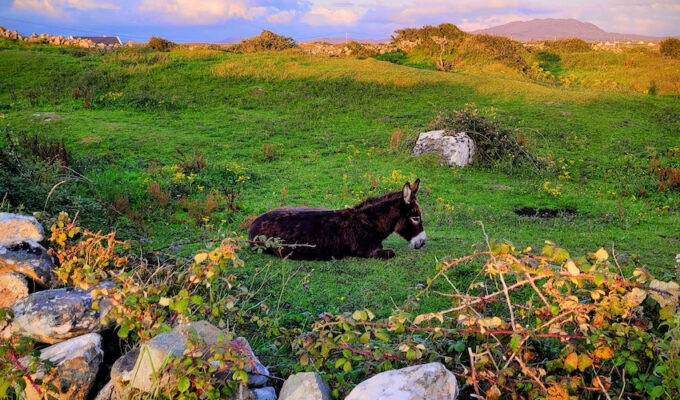 Discover Connemara - Guide to Holiday Homes and Top Attractions - The Life of Stuff