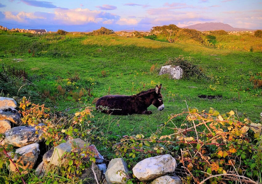 Discover Connemara - Guide to Holiday Homes and Top Attractions - The Life of Stuff