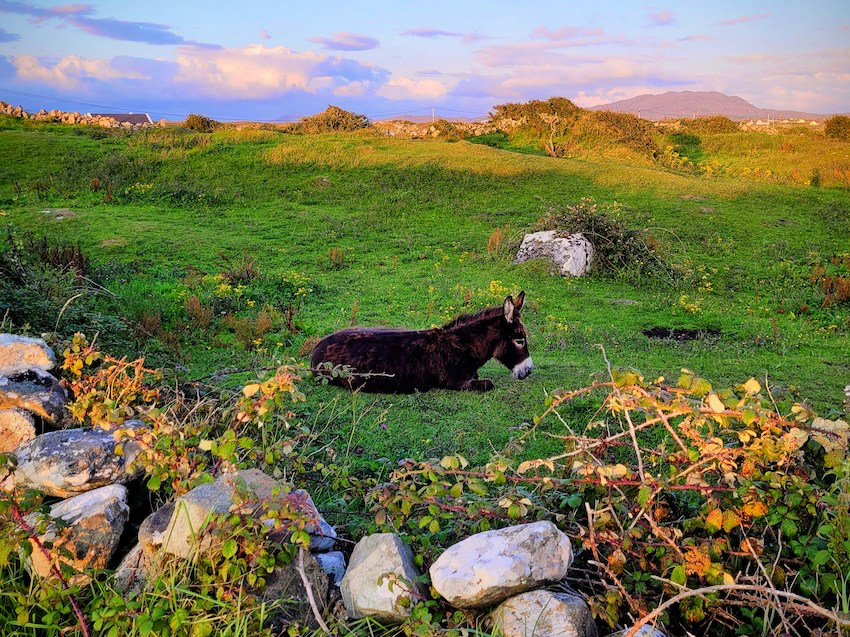 Discover Connemara - Guide to Holiday Homes and Top Attractions - The Life of Stuff